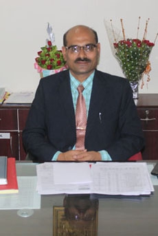 Professor Sanjay Govind Dhande